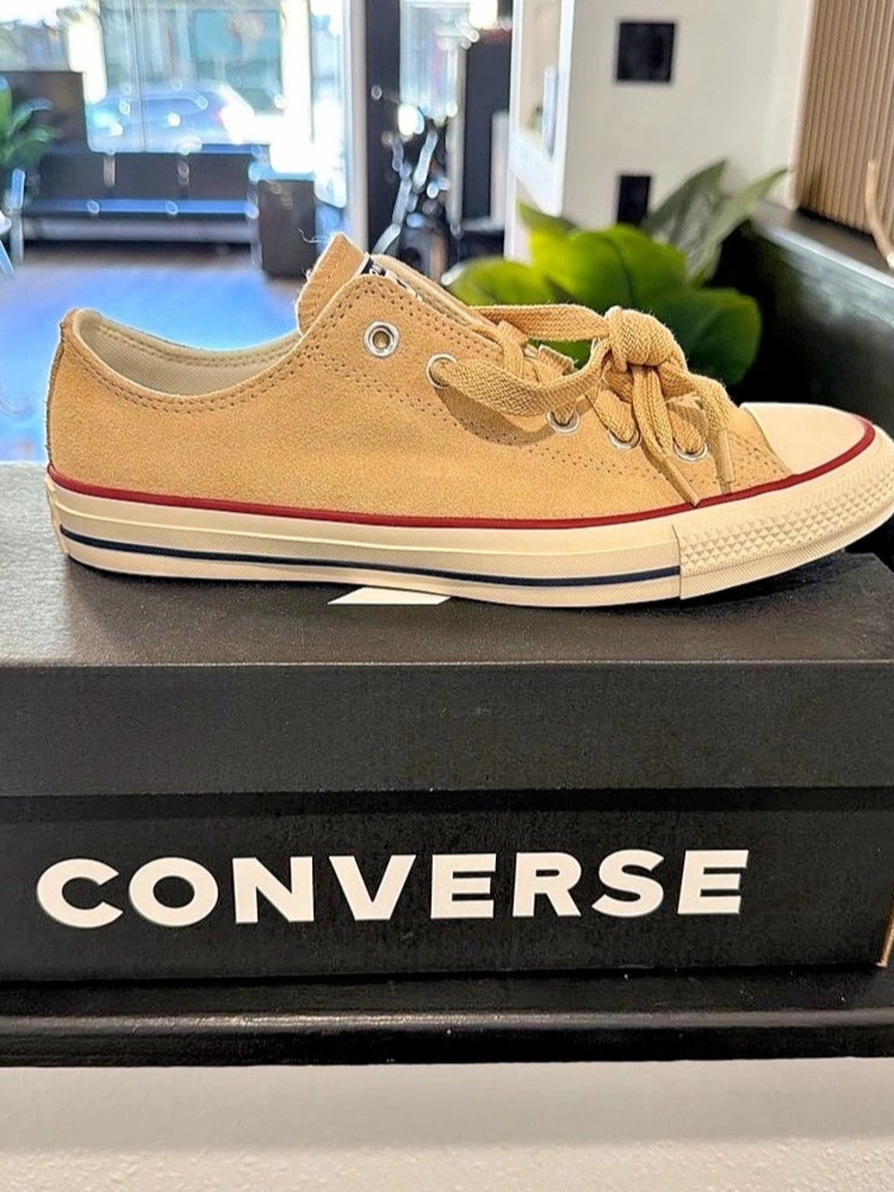 Converse Chuck Taylor All Star Low Top Sneakers in Brown US 8 Like New